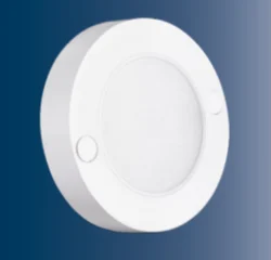LED Down Light